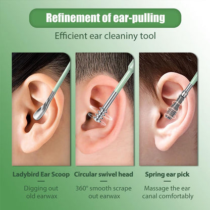 6-Piece Stainless Steel Ear Cleaning Tool Kit with Leather Storage Case